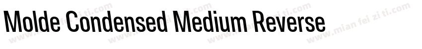 Molde Condensed Medium Reverse字体转换